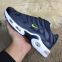 Nike Air Max Tn Plus Blue/Green